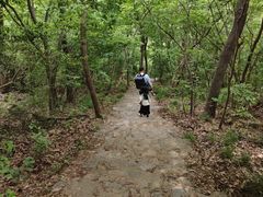 -紫金山天文台