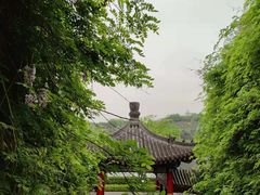 -重庆园博园
