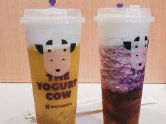 -一只酸奶牛(兰州中心店)