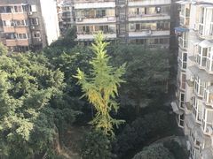 -白鹭湾湿地公园