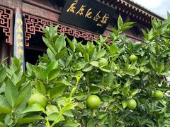-屈原故里文化旅游区