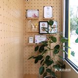 海边走起！土豆咖啡来了海霞新村