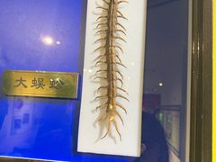 -上海昆虫博物馆