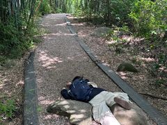 -梧桐山风景名胜区