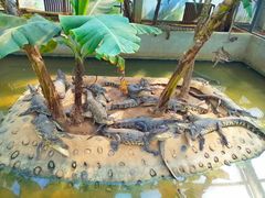 -石家庄市动物园