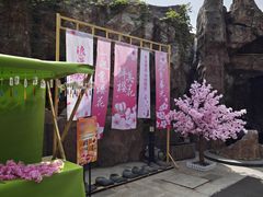 -裕龙汤泉