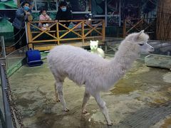 -上海大自然野生昆虫馆(东方明珠·爬宠昆虫探索中心)