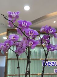 -重庆联合丽格第五医疗美容医院