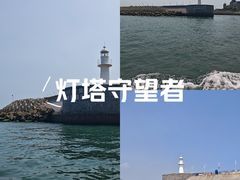 -星光岛