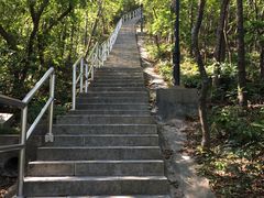 -野狸岛