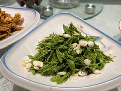松针杏仁-金家老三饭庄(常营店)