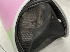 -安安宠医宠物医院·异宠·犬猫内科(岳阳分院)