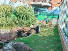 -苏州太湖国家湿地公园