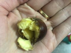 -高记福桂桂花糖炒栗(鼓楼店)
