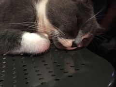 -MIKAKU(万达广场上海宝山店)