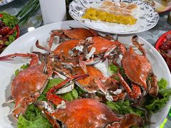 -东北田记家常菜