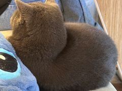 -春笙食堂.丼饭拉面寿司(GOGO新天地店)