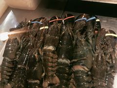 -雍和会海鲜姿造自助(湖东路店)