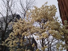 -北京八中游泳馆