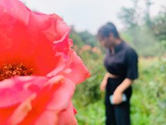 -禹州森林植物园