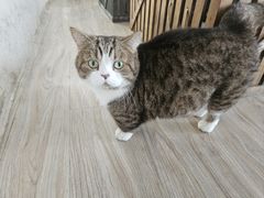 -小时光咖啡馆(北锣鼓巷店)