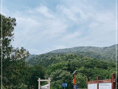 -北京西山国家森林公园