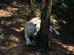 -石家庄市动物园