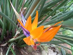 -南通洲际绿博园