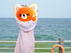 -日照灯塔风景区