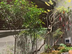 -森SPA·泰式按摩·精油Massage(宝安中心店)