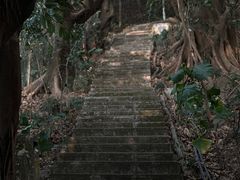 -小南山公园