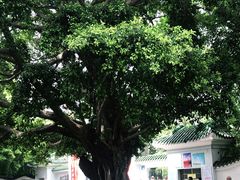 -晓港公园
