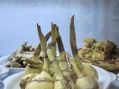 -国生茶庄·地道农家菜团建活动