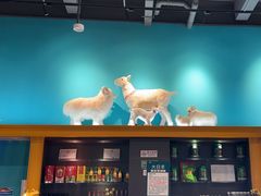 -大白羊蝎子馆(后沙峪山姆店)