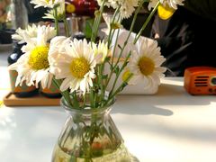 -灯塔咖啡馆BOOK·Coffee Shop