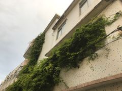 -旺记碳烤肥牛(总店)