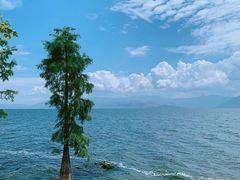 -苍山感通索道