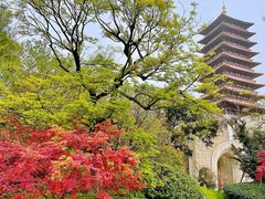 -牛首山文化旅游区