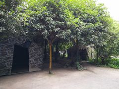 -勇士之星真人CS·团建·拓展(清水河公园店)