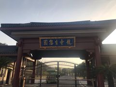 -龙寺生态园