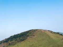 -大姆山草场