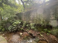-灵顺寺
