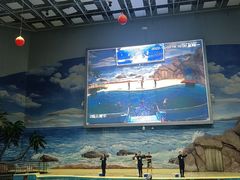 -福州罗源湾海洋世界旅游区