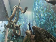 -国家自然博物馆