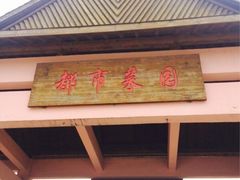 iphone_upload_pic-上海都市菜园