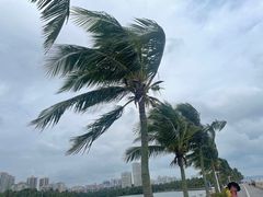 -霞山观海长廊