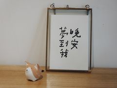 -猫里有甜