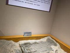 -洛阳周王城天子驾六博物馆