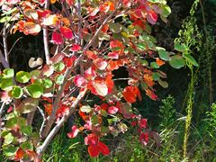 -北京西山国家森林公园