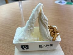 -野人先生Gelato(上海长宁龙之梦店)